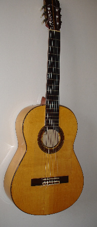Guya guitar